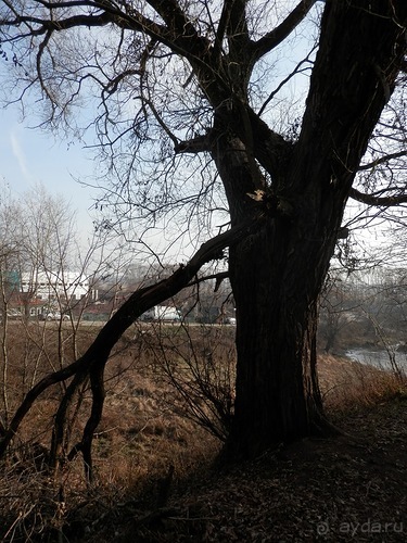 Владимир и Боголюбово