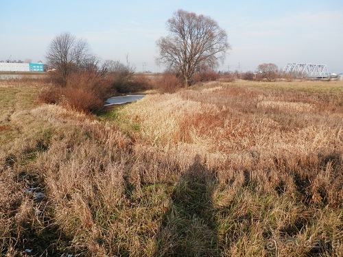 Владимир и Боголюбово