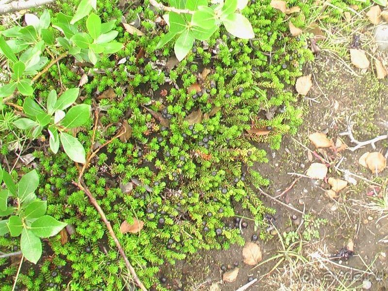 Исландия, день четвертый