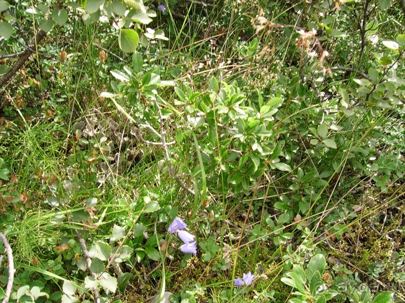 Исландия, день четвертый