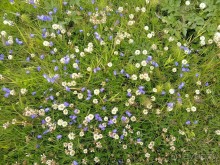 Исландия, день четвертый