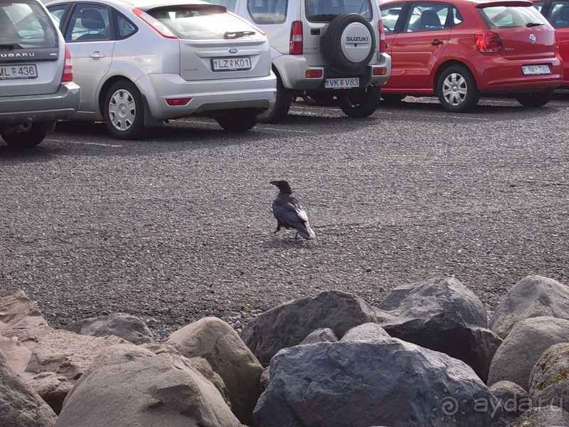 Альбом отзыва "Исландия, день четвертый"