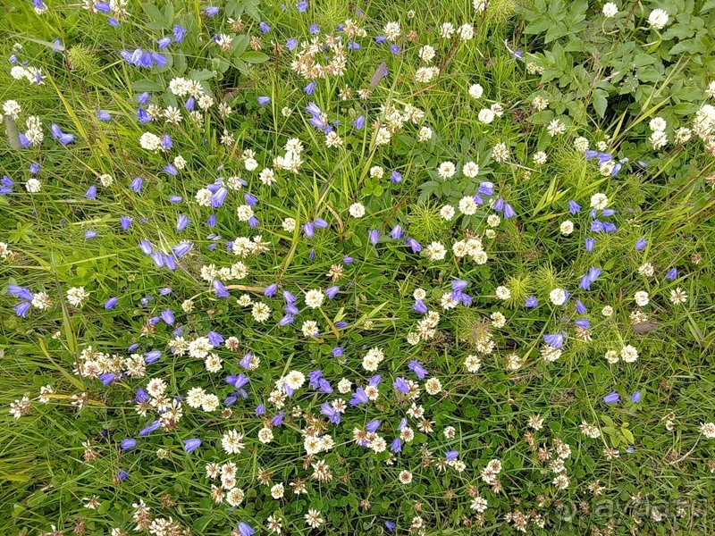 Исландия, день четвертый