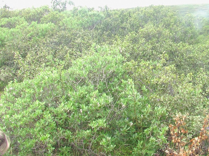 Исландия, день четвертый