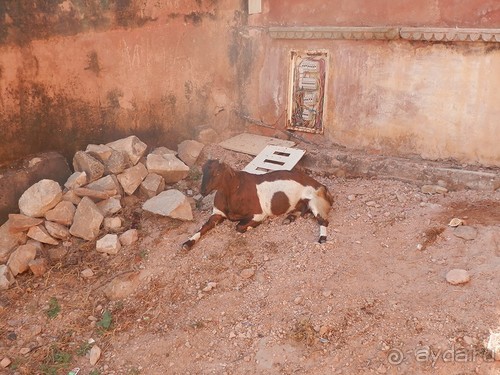 Джайпур, форт Амбер