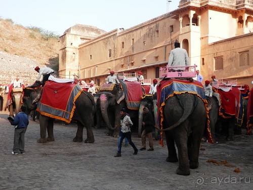 Джайпур, форт Амбер
