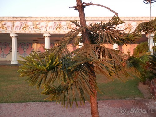 Джайпур, форт Амбер