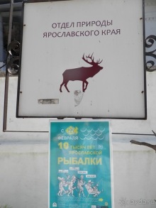 Выходные в Ярославле