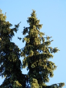 Выходные в Ярославле