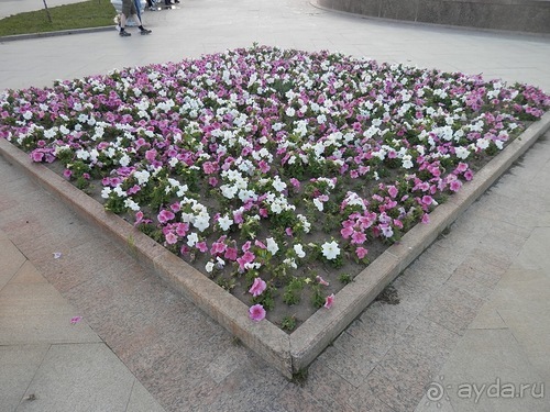 Выходные в Ярославле