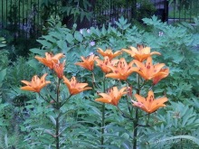 Выходные в Ярославле