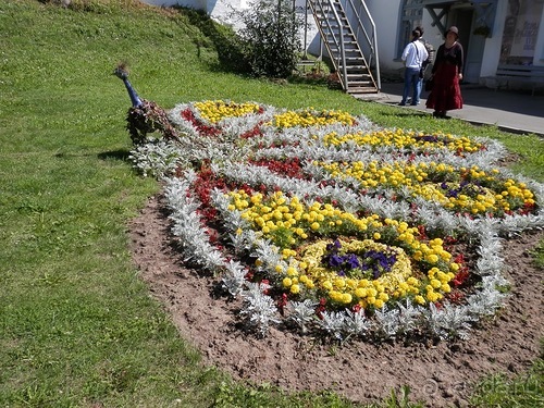 Альбом отзыва "Выходные в Ярославле"