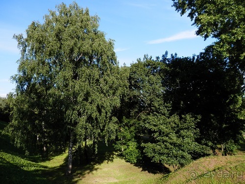 Альбом отзыва "Выходные в Ярославле"