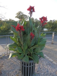 Копенгаген - от Национального музея до Русалочки