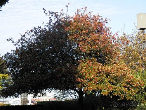 Копенгаген - от Национального музея до Русалочки