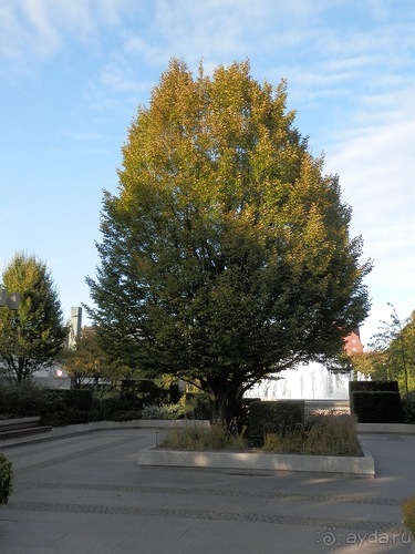 Копенгаген - от Национального музея до Русалочки