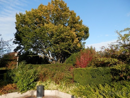 Копенгаген - от Национального музея до Русалочки