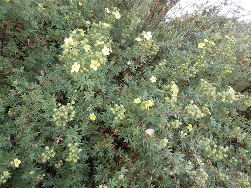Копенгаген - от Национального музея до Русалочки