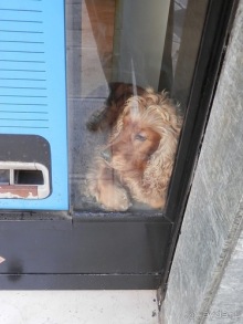 Бриндизи - Италия, Бари