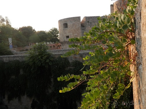 Бриндизи - Италия, Бари