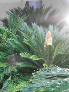 Яхта - от Генуи до Сан-Маргариты