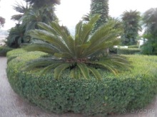 Яхта - от Генуи до Сан-Маргариты