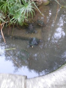 Яхта - от Генуи до Сан-Маргариты