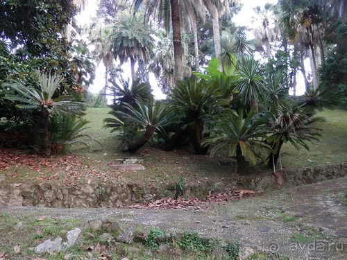 Яхта - от Генуи до Сан-Маргариты