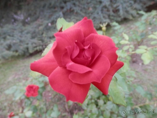 Яхта - от Генуи до Сан-Маргариты