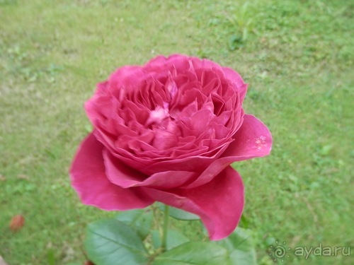 Яхта - от Генуи до Сан-Маргариты