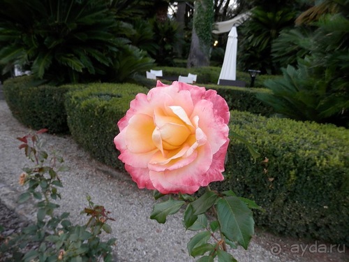 Яхта - от Генуи до Сан-Маргариты