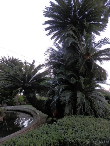 Яхта - от Генуи до Сан-Маргариты