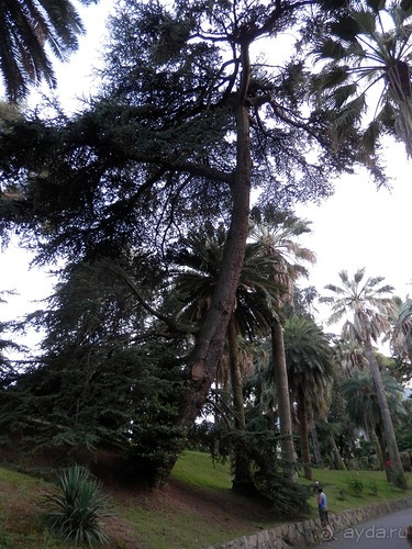 Яхта - от Генуи до Сан-Маргариты