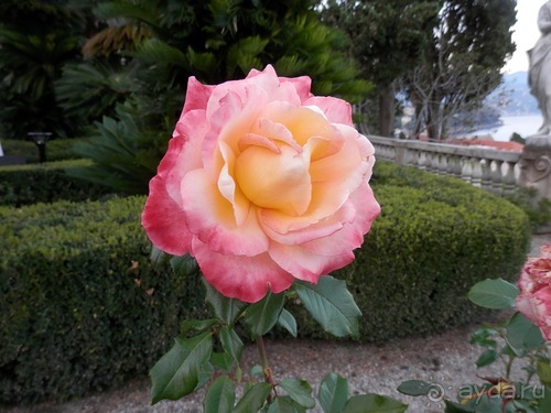 Яхта - от Генуи до Сан-Маргариты