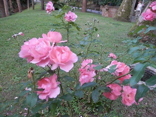 Яхта - от Генуи до Сан-Маргариты