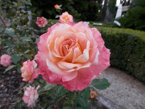 Яхта - от Генуи до Сан-Маргариты