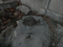 Львов - продолжение