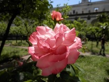 Неаполь - продолжение