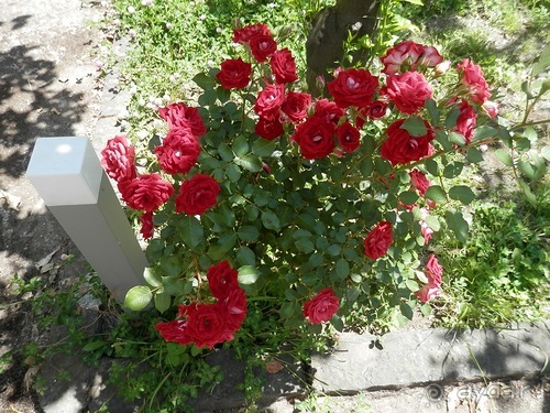 Неаполь - продолжение