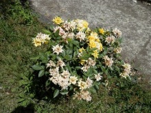 Неаполь - продолжение