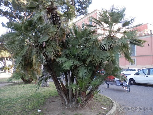 Неаполь - продолжение