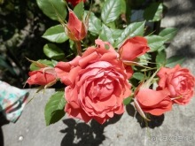 Неаполь - продолжение