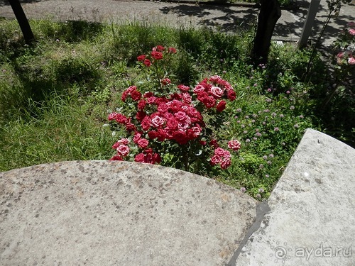 Неаполь - продолжение