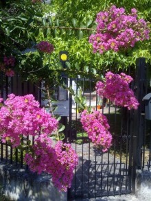 Верона, день второй