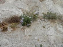 Матера - Италия, Бари