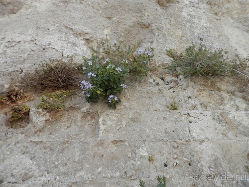 Матера - Италия, Бари