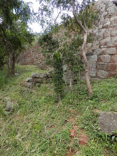 Шри-Ланка - Сигирия