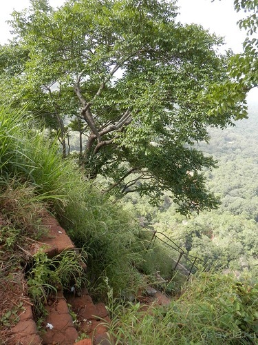 Шри-Ланка - Сигирия