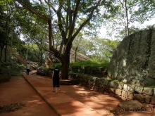 Шри-Ланка - Сигирия