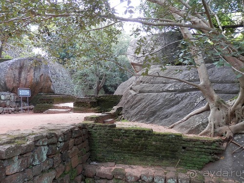 Шри-Ланка - Сигирия